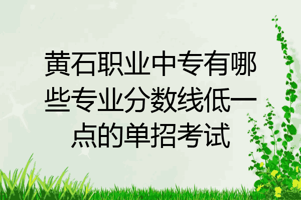 黄石职业中专有哪些专业分数线低一点的单招考试