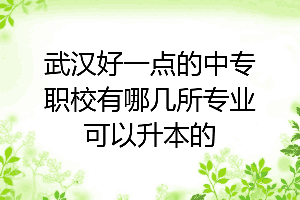 武汉好一点的中专职校有哪几所专业可以升本的