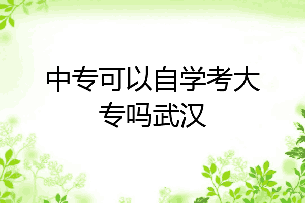 中专可以自学考大专吗武汉