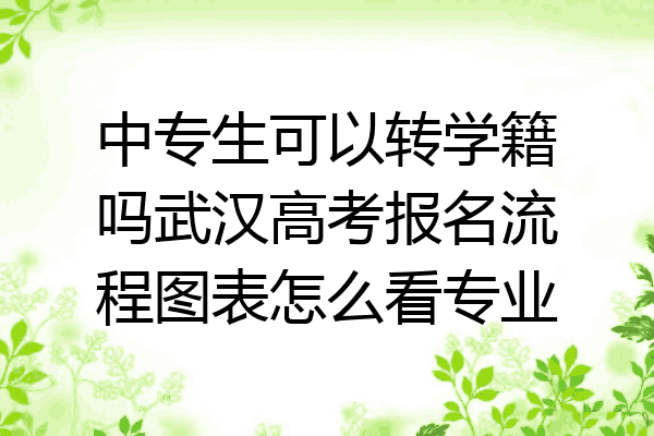 中专生可以转学籍吗武汉高考报名流程图表怎么看专业