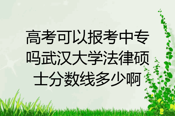 高考可以报考中专吗武汉大学法律硕士分数线多少啊