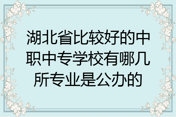 湖北省比较好的中职中专学校有哪几所专业是公办的