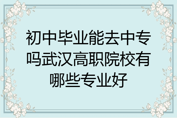 初中毕业能去中专吗武汉高职院校有哪些专业好