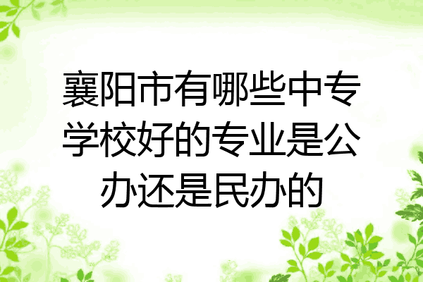 襄阳市有哪些中专学校好的专业是公办还是民办的