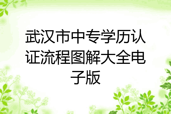 武汉市中专学历认证流程图解大全电子版