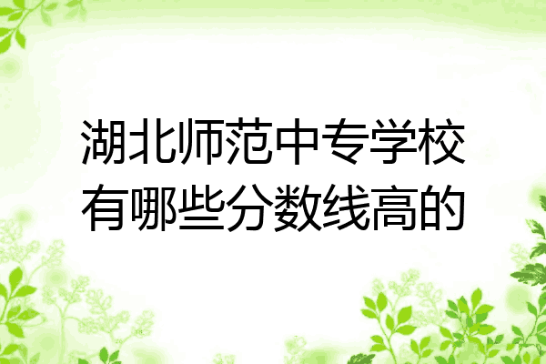 湖北师范中专学校有哪些分数线高的