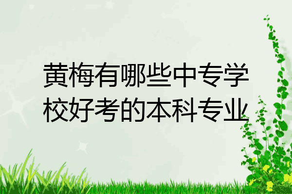 黄梅有哪些中专学校好考的本科专业