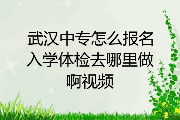 武汉中专怎么报名入学体检去哪里做啊视频