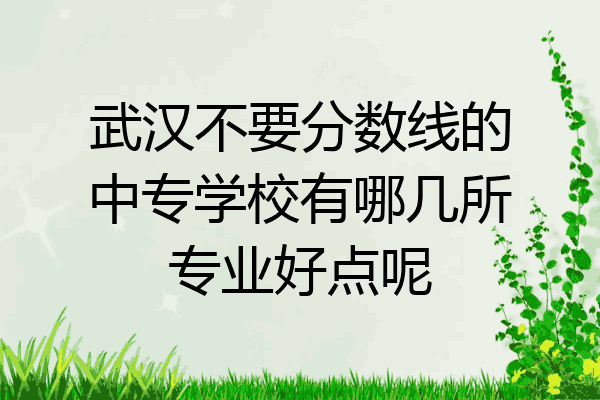 武汉不要分数线的中专学校有哪几所专业好点呢