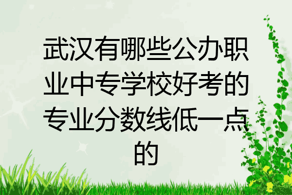 武汉有哪些公办职业中专学校好考的专业分数线低一点的