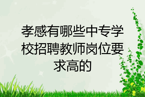 孝感有哪些中专学校招聘教师岗位要求高的