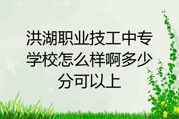 洪湖职业技工中专学校怎么样啊多少分可以上