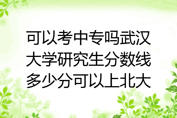 可以考中专吗武汉大学研究生分数线多少分可以上北大