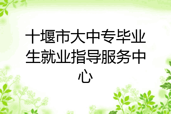 十堰市大中专毕业生就业指导服务中心
