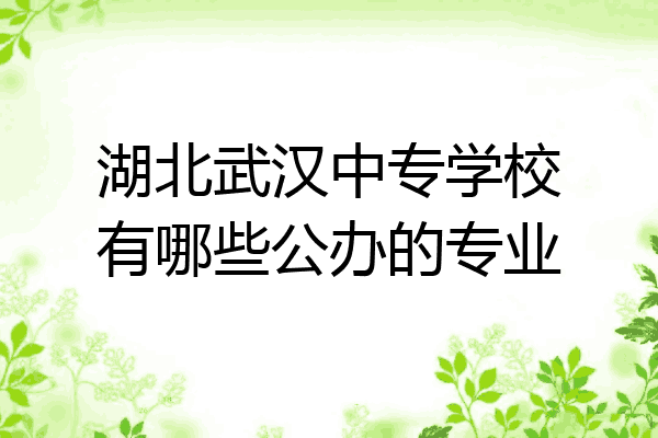 湖北武汉中专学校有哪些公办的专业