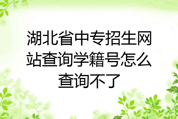湖北省中专招生网站查询学籍号怎么查询不了
