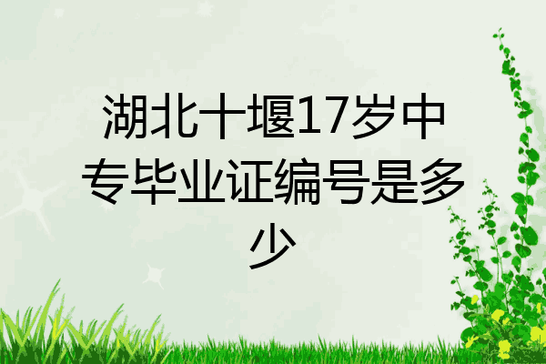 湖北十堰17岁中专毕业证编号是多少