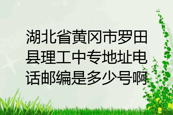 湖北省黄冈市罗田县理工中专地址电话邮编是多少号啊