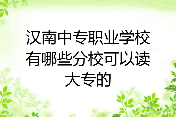 汉南中专职业学校有哪些分校可以读大专的