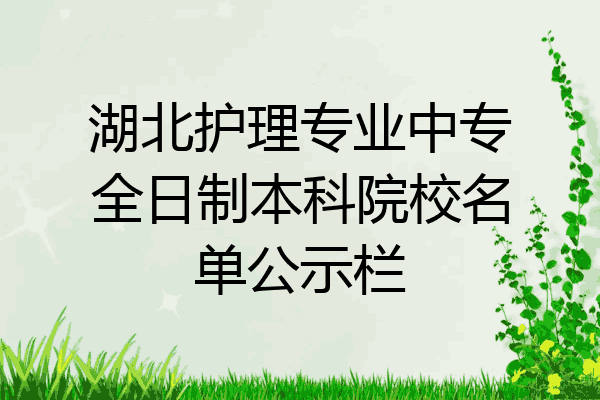 湖北护理专业中专全日制本科院校名单公示栏