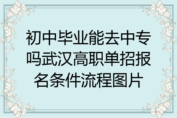 初中毕业能去中专吗武汉高职单招报名条件流程图片