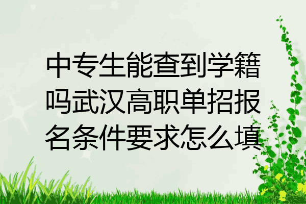 中专生能查到学籍吗武汉高职单招报名条件要求怎么填
