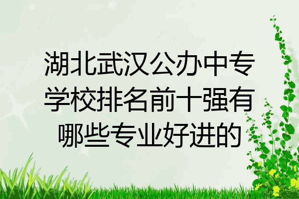湖北武汉公办中专学校排名前十强有哪些专业好进的