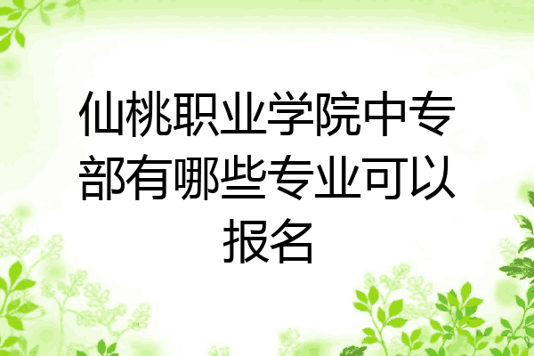 仙桃职业学院中专部有哪些专业可以报名