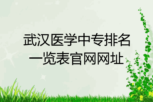 武汉医学中专排名一览表官网网址