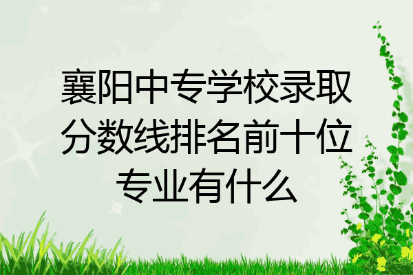 襄阳中专学校录取分数线排名前十位专业有什么