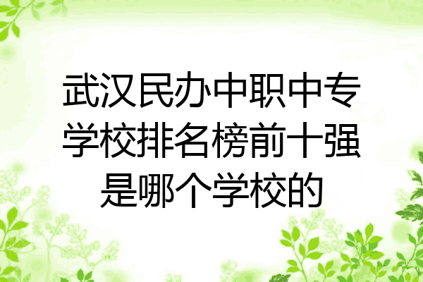 武汉民办中职中专学校排名榜前十强是哪个学校的