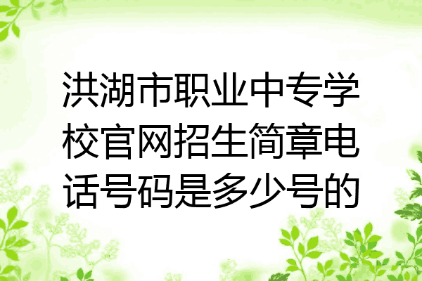 洪湖市职业中专学校官网招生简章电话号码是多少号的