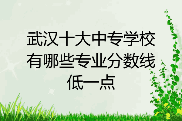 武汉十大中专学校有哪些专业分数线低一点
