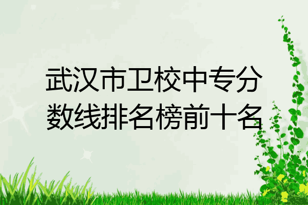 武汉市卫校中专分数线排名榜前十名