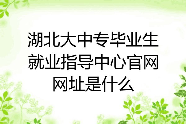 湖北大中专毕业生就业指导中心官网网址是什么