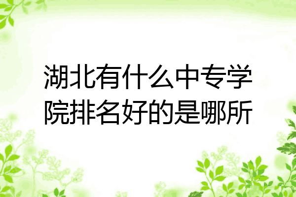 湖北有什么中专学院排名好的是哪所
