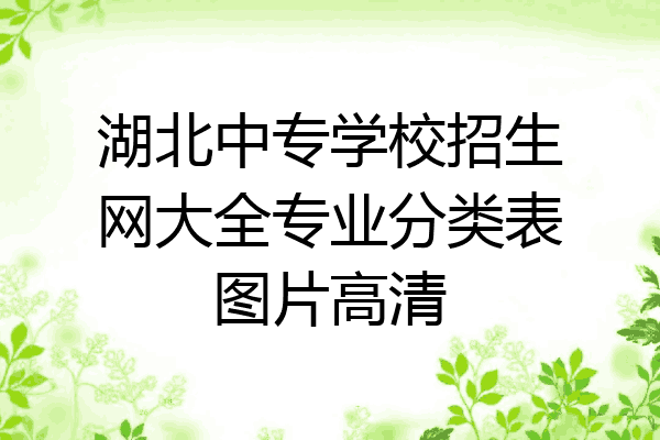 湖北中专学校招生网大全专业分类表图片高清