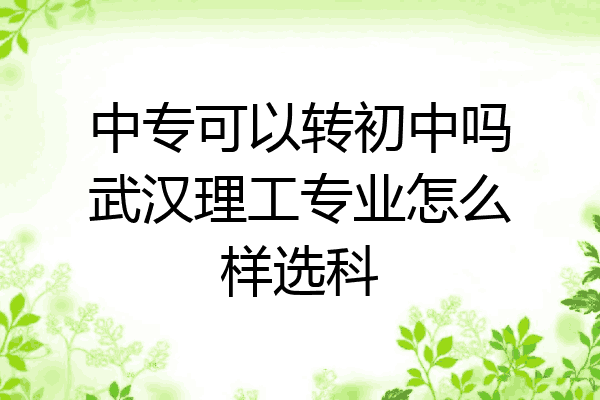中专可以转初中吗武汉理工专业怎么样选科