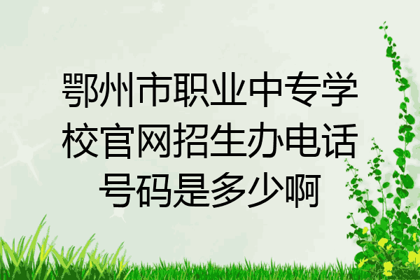 鄂州市职业中专学校官网招生办电话号码是多少啊