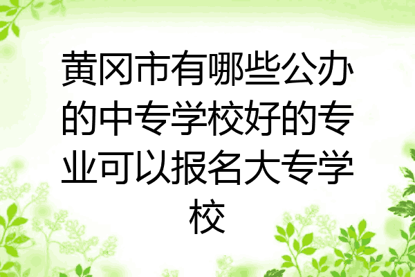 黄冈市有哪些公办的中专学校好的专业可以报名大专学校