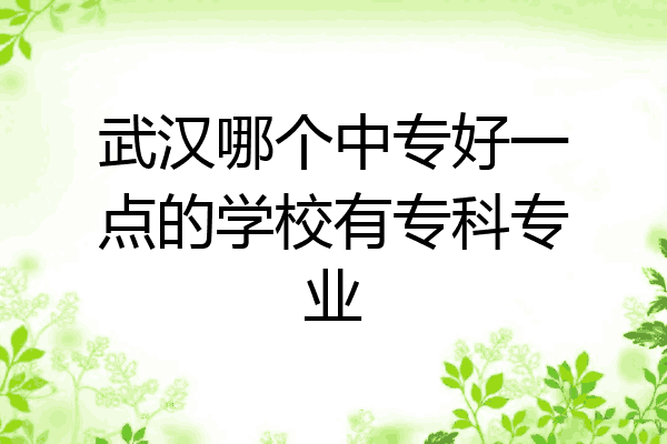 武汉哪个中专好一点的学校有专科专业