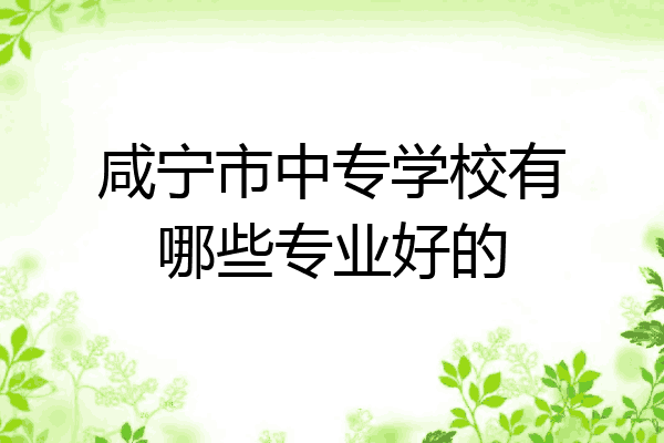 咸宁市中专学校有哪些专业好的