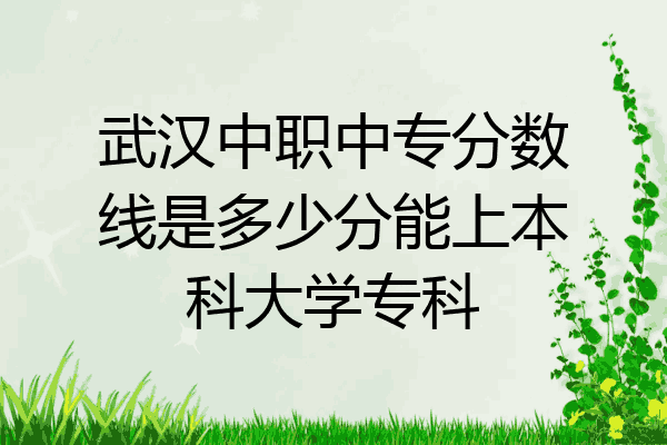 武汉中职中专分数线是多少分能上本科大学专科