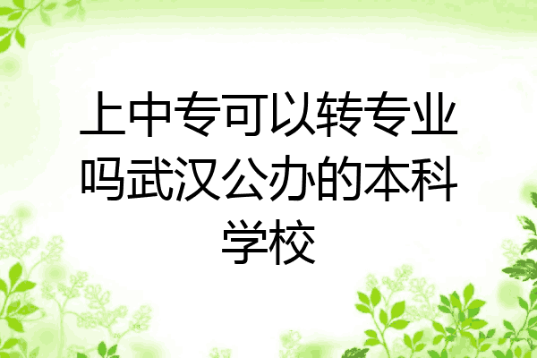 上中专可以转专业吗武汉公办的本科学校