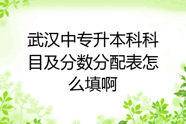 武汉中专升本科科目及分数分配表怎么填啊