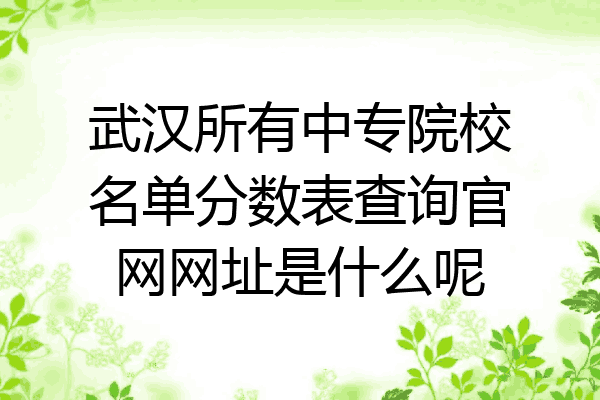武汉所有中专院校名单分数表查询官网网址是什么呢