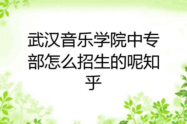 武汉音乐学院中专部怎么招生的呢知乎