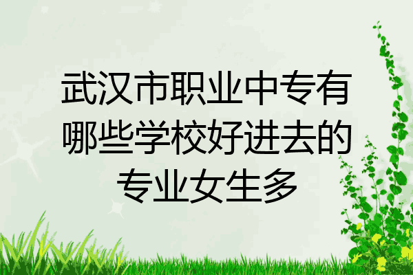 武汉市职业中专有哪些学校好进去的专业女生多
