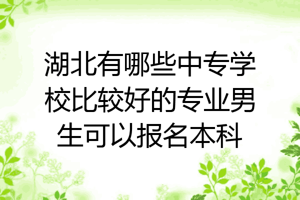 湖北有哪些中专学校比较好的专业男生可以报名本科