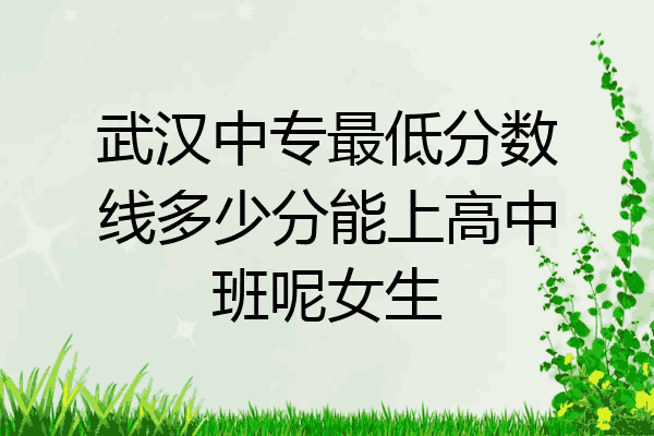 武汉中专最低分数线多少分能上高中班呢女生